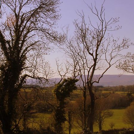 Woodview House Bed And Breakfast Ballinrobe Εξωτερικό φωτογραφία