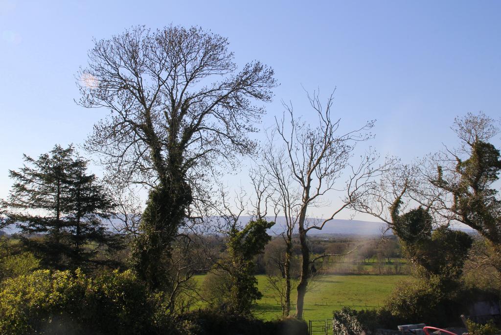 Woodview House Bed And Breakfast Ballinrobe Εξωτερικό φωτογραφία