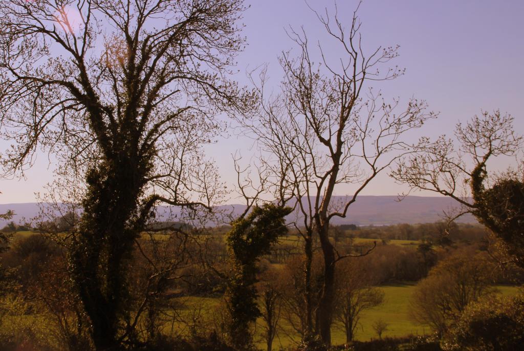 Woodview House Bed And Breakfast Ballinrobe Εξωτερικό φωτογραφία