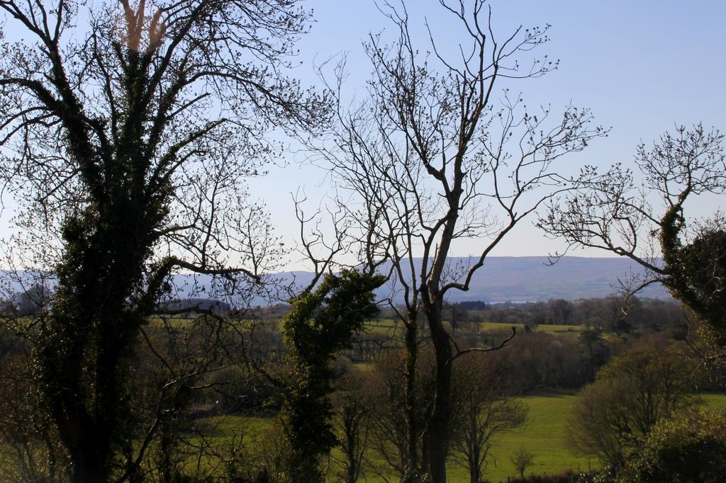 Woodview House Bed And Breakfast Ballinrobe Δωμάτιο φωτογραφία